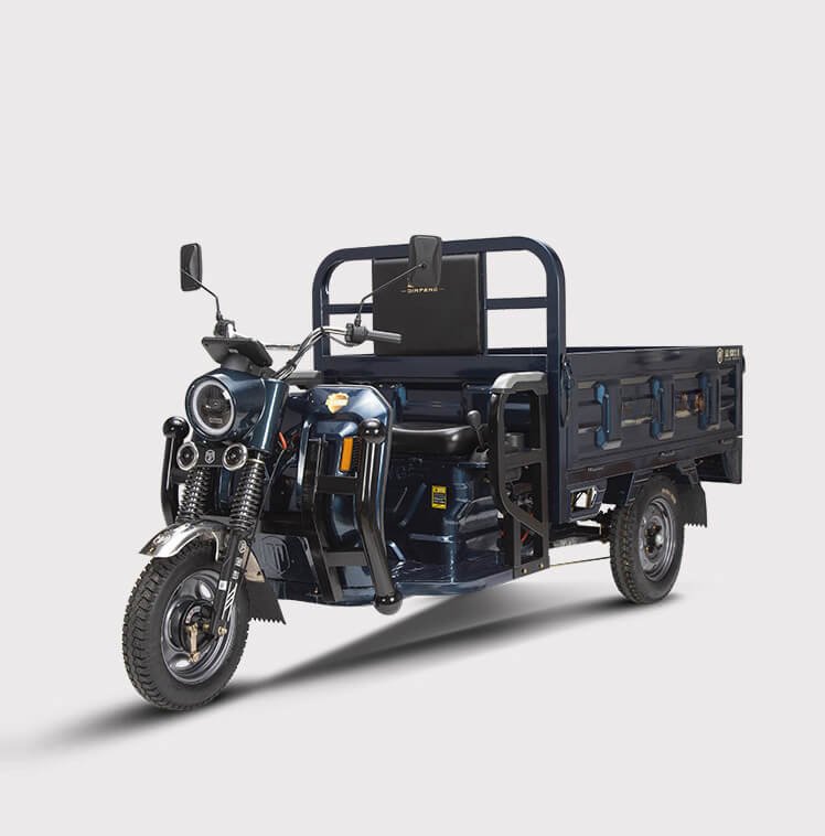 Electric cargo tricycle