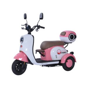 electric-leisure-tricycle-48v-60v-20ah-500w-1000w-discount-promotion-high-cost-performance-not-to-be-missed-2