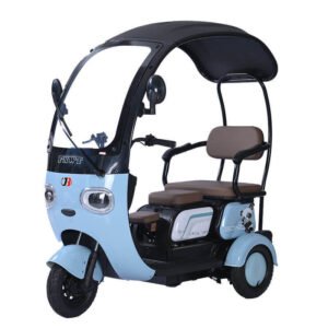 factory-price-48v-60v-72v-20ah-500w-1000w-leisure-electric-tricycle-parent-child-three-wheeler-with-roof-4