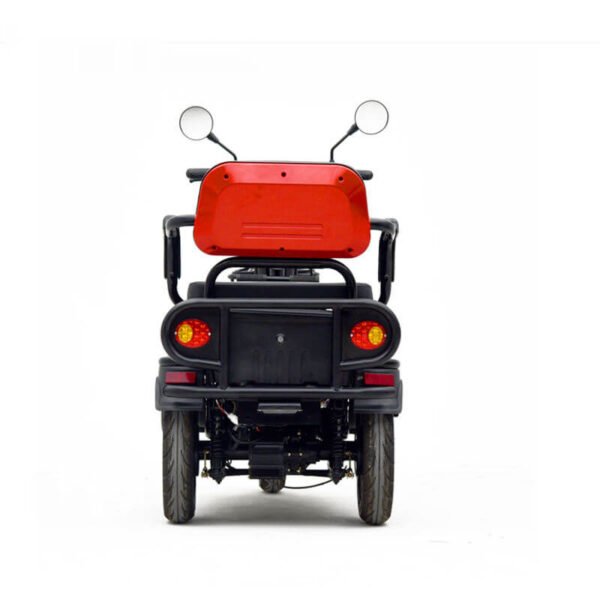 2024_new_hot-selling_EEC_60V20Ah_800W_25km/h_passenger_electric_tricycle_5