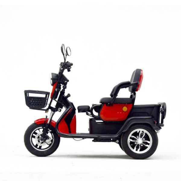 2024_new_hot-selling_EEC_60V20Ah_800W_25km/h_passenger_electric_tricycle_6