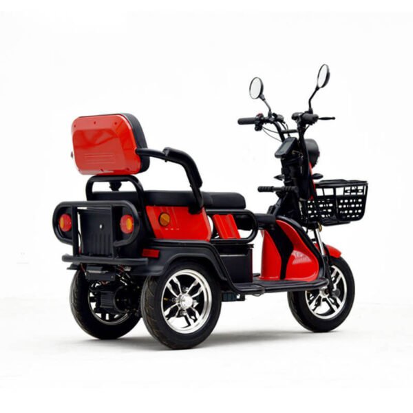 2024_new_hot-selling_EEC_60V20Ah_800W_25km/h_passenger_electric_tricycle_1