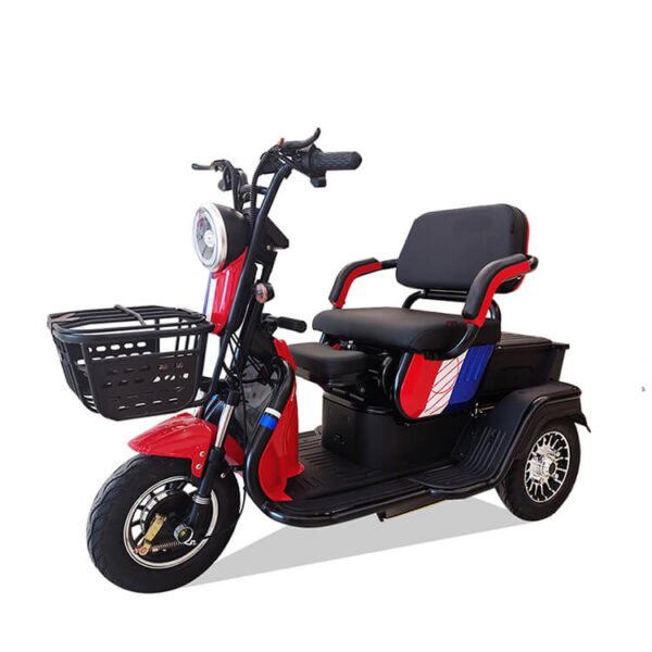 2024_new_hot-selling_EEC_60V20Ah_800W_25km/h_passenger_electric_tricycle_2