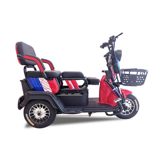 2024_new_hot-selling_EEC_60V20Ah_800W_25km/h_passenger_electric_tricycle_3