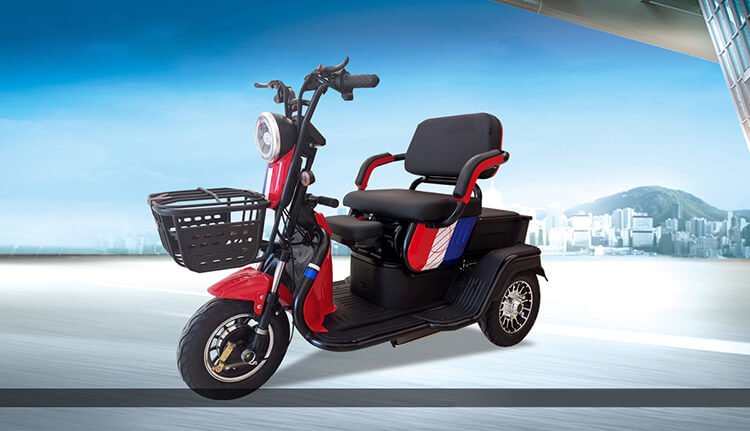 2024_new_hot-selling_EEC_60V20Ah_800W_25km/h_passenger_electric_tricycle_9